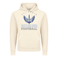 Vintage Artic stl battlehawks football! xfl Vintage Hoodie - lanVoArt