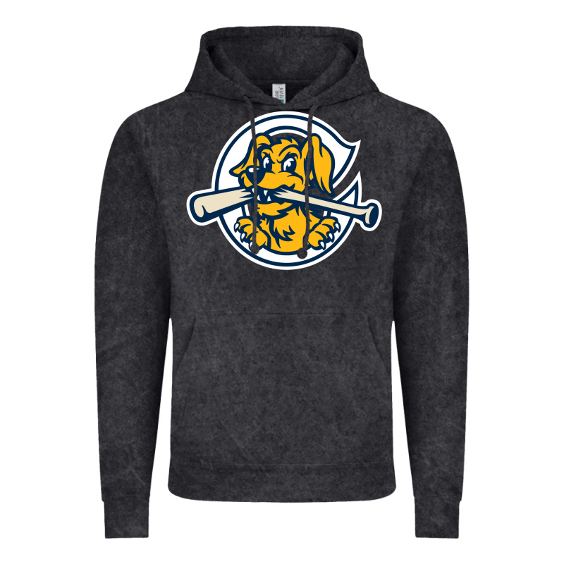 The Charleston Riverdogs Vintage Hoodie by lanVoArt | Teevron