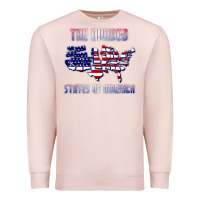 Pale Pink the divided states of america political humor usa map t shirt Premium Sweatshirt - lanVoArt