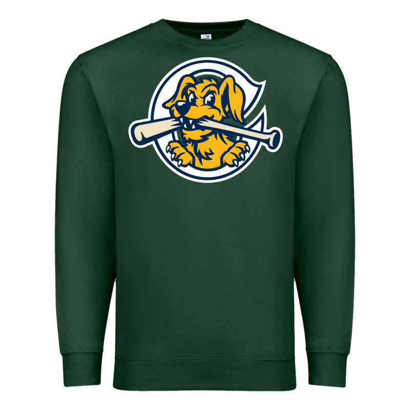 The Charleston Riverdogs Premium Sweatshirt by lanVoArt | Teevron
