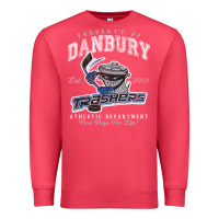 Cardinal property of danbury trashers Premium Sweatshirt - lanVoArt