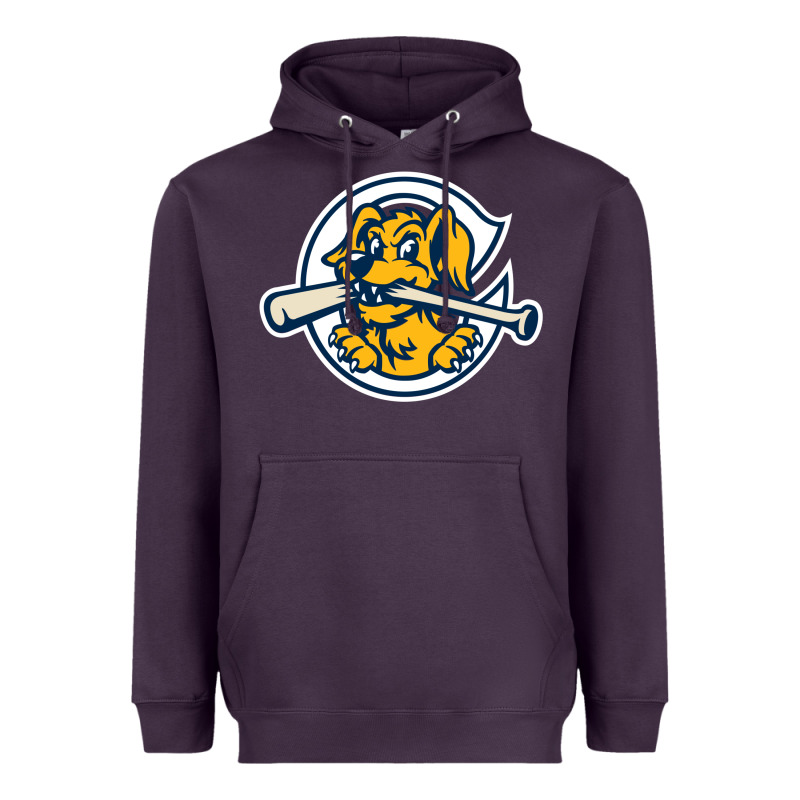The Charleston Riverdogs Heavyweight Hoodie by lanVoArt | Teevron