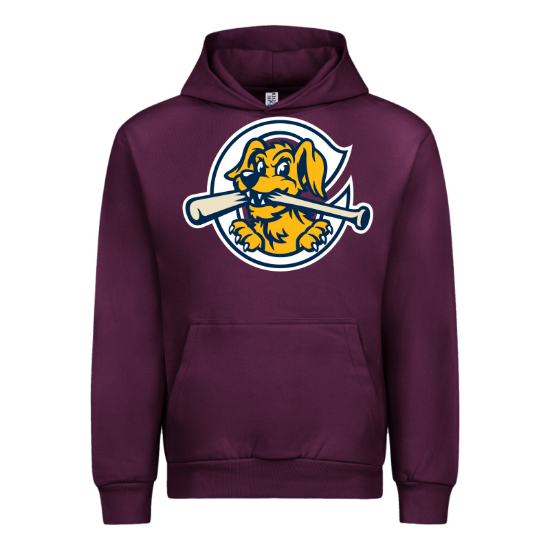 The Charleston Riverdogs Urban Hoodie by lanVoArt | Teevron