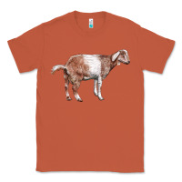 Copper Nubian Goat Classic Tee - LillyAllenDesigns