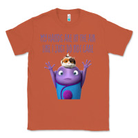 Copper oh home dreamworks Classic Tee - lanVoArt