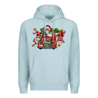 Blue Mist merry christmas truck gnomies Premium Hoodie - FaDigitalArtStudio