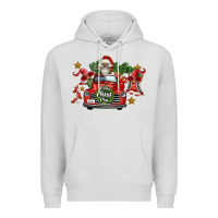 Dove Grey merry christmas truck gnomies Premium Hoodie - FaDigitalArtStudio