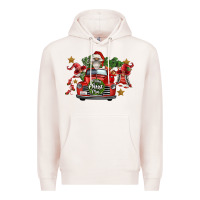 Pale Pink merry christmas truck gnomies Premium Hoodie - FaDigitalArtStudio