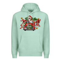 Seafoam merry christmas truck gnomies Premium Hoodie - FaDigitalArtStudio