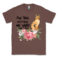 Chestnut Are you kitten me right meow Classic Tee - Bettercallsaul