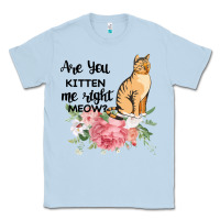 Dusty Blue Are you kitten me right meow Classic Tee - Bettercallsaul