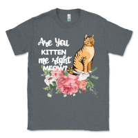 Charcoal Heather Cat Maine coon gift kidding kitten meow pussycat Classic Tee - Bettercallsaul