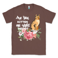 Chestnut Cat Maine coon gift kidding kitten meow pussycat Classic Tee - Bettercallsaul
