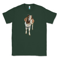 Sports Green boer goat Classic Tee - LillyAllenDesigns