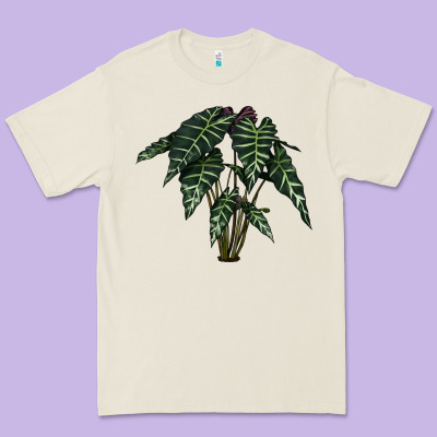Amazon Elephant Ear Premium Tee Designed By Lillyallendesigns