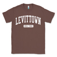Chestnut levittown new york ny vintage athletic sports design t shirt Classic Tee - lanVoArt