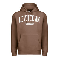 Chestnut levittown new york ny vintage athletic sports design t shirt Premium Hoodie - lanVoArt
