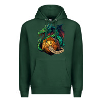 Sports Green dragon and a d20 Premium Hoodie - lanVoArt