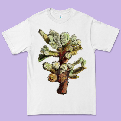 Cholla Tree Cactus Premium Tee Designed By Lillyallendesigns