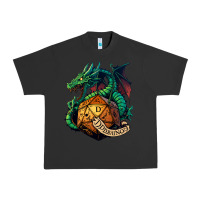 Pigment Black dragon and a d20 Urban Heavy Tee - lanVoArt