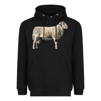 Black katahdin sheep Heavyweight Hoodie - LillyAllenDesigns
