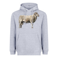 Heather Grey katahdin sheep Heavyweight Hoodie - LillyAllenDesigns