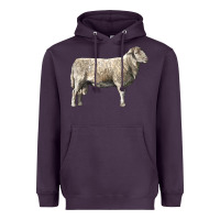 Katahdin Sheep Heavyweight Hoodie | Teevron