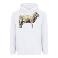 White katahdin sheep Heavyweight Hoodie - LillyAllenDesigns