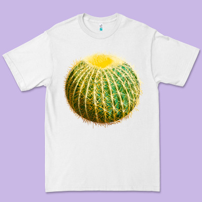 Golden Barrel Cactus Premium Tee Designed By Lillyallendesigns