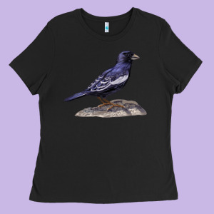 Lark Bunting Colorado State Bird Ladies Tee Designed By Ranaportraitstore