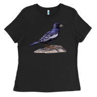 Black Lark Bunting Colorado State Bird Ladies Tee - RanaPortraitStore