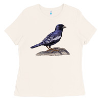 Bone Lark Bunting Colorado State Bird Ladies Tee - RanaPortraitStore