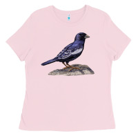 Bubblegum Pink Lark Bunting Colorado State Bird Ladies Tee - RanaPortraitStore