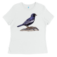 White Lark Bunting Colorado State Bird Ladies Tee - RanaPortraitStore