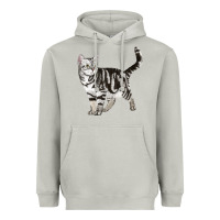 Moon Dust American Shorthair Cat Heavyweight Hoodie - LillyAllenDesigns