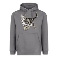 Storm American Shorthair Cat Heavyweight Hoodie - LillyAllenDesigns