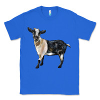 True Royal Tennessee Fainting Goat Classic Tee - LillyAllenDesigns
