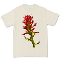 Bone Indian Paintbrush Premium Tee - LillyAllenDesigns