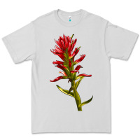 Dove Grey Indian Paintbrush Premium Tee - LillyAllenDesigns