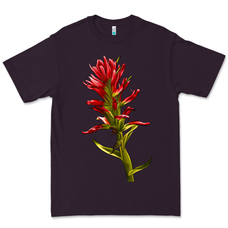 Indian Paintbrush Premium Tee by LillyAllenDesigns | Teevron