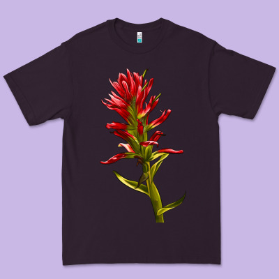 Indian Paintbrush Premium Tee Designed By Lillyallendesigns