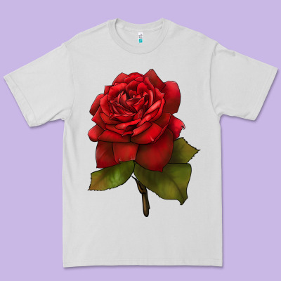 Oklahoma Rose Illustrations Premium Tee Designed By Lillyallendesigns