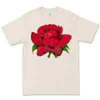 Bone Oklahoma Rose Illustrations Premium Tee - LillyAllenDesigns