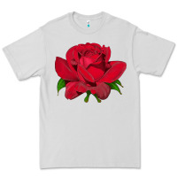 Oklahoma Rose Illustrations Premium Tee | Teevron