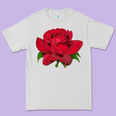 Oklahoma Rose Illustrations Premium Tee Designed By Lillyallendesigns