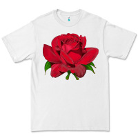 White Oklahoma Rose Illustrations Premium Tee - LillyAllenDesigns