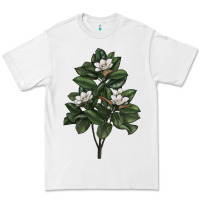White Magnolia Flower Illustrations Premium Tee - LillyAllenDesigns