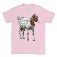 Bubblegum Pink Boer Goat Classic Tee - LillyAllenDesigns