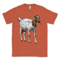 Copper Boer Goat Classic Tee - LillyAllenDesigns
