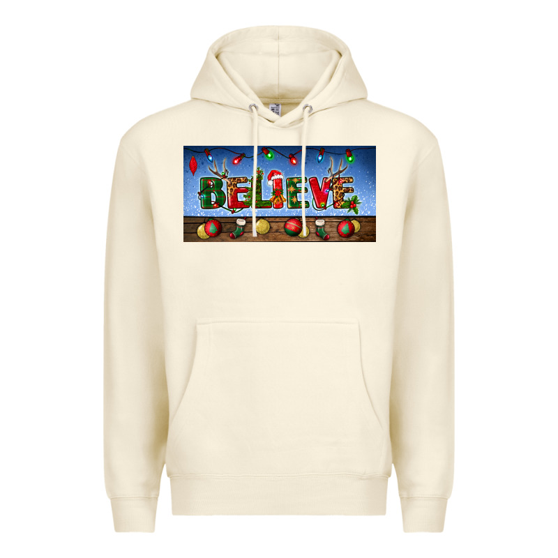 Christmas Believe License Plate Premium Hoodie by BundleAndBundleShop | Teevron